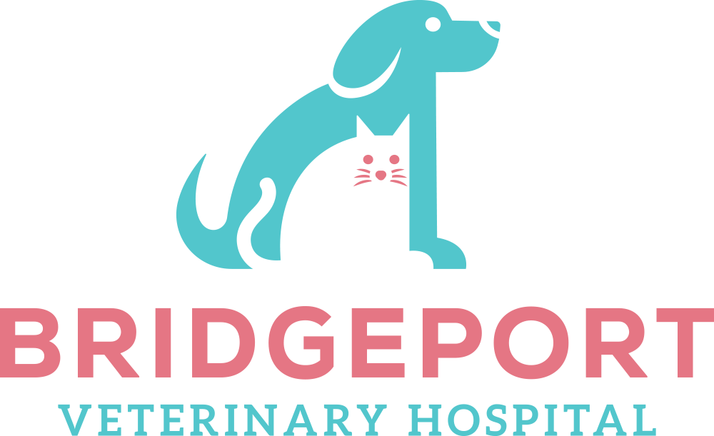 Bridgeport Veterinary Hospital
