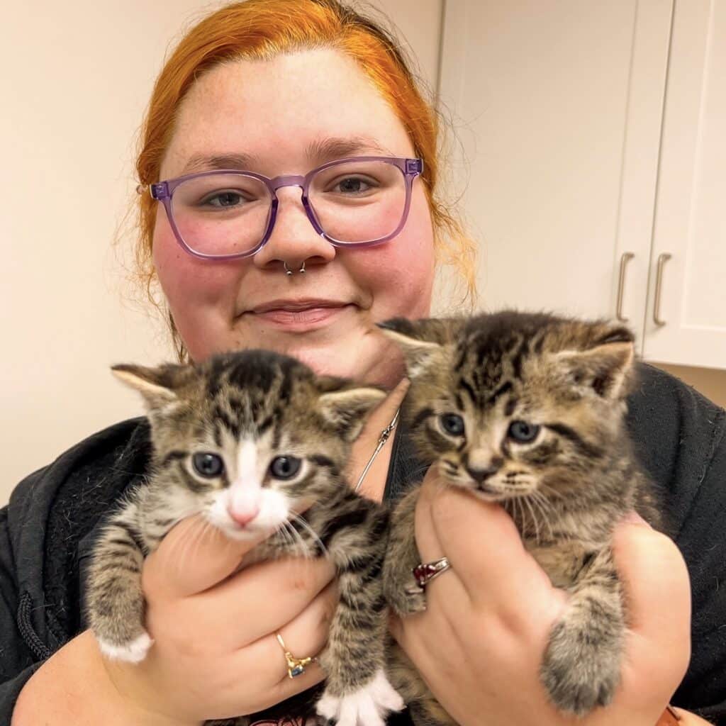 Bridgeport Veterinary Hospital